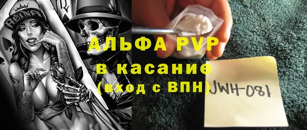 бошки Бородино