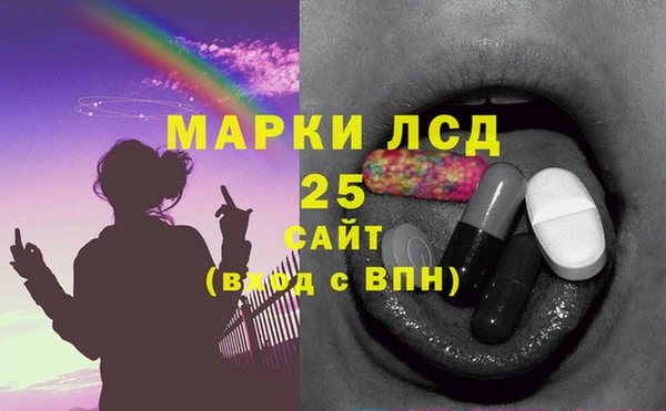 бошки Бородино