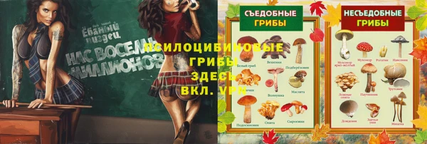 мяу мяу мука Бугульма
